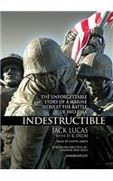 Indestructible