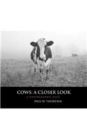 Cows: A Closer Look