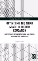 Optimising the Third Space in Higher Education: Case Studies of Intercultural and Cross-Boundary Collaboration(Routledge Research in Higher Education)