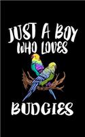 Just A Boy Who Loves Budgies: Animal Nature Collection