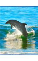 Dolphin Notebook