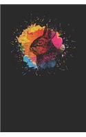 Rabbit Splash: Rabbits Notebook, Blank Lined (6 x 9 - 120 pages) Animal Themed Notebook for Daily Journal, Diary, and Gift