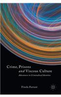 Crime, Prisons and Viscous Culture