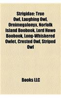 Strigidae