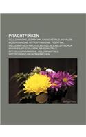 Prachtfinken