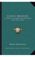Castle Meadow: A Story Of Norwich A Hundred Years Ago (1897)(English)