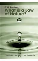 What Is a Law of Nature?