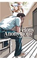 Felony Anonymous