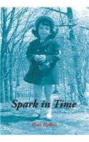 Spark in Time