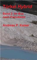 Im Bus nach Pamukkale.