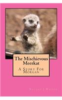 Mischievous Meerkat