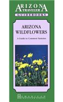 Arizona Wildflowers