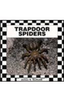 Trapdoor Spiders