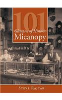 101 Glimpses of Historic Micanopy