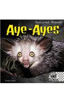 Aye-Ayes