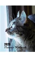 2020 Planner Notebook: Tabby Cat Planner Book With Monthly and Weekly Calendars, Monthly Budget Sheet and Weekly Meal Plan