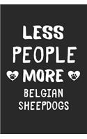 Less People More Belgian Sheepdogs
