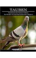 Tauben