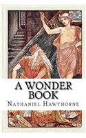 A Wonder Book