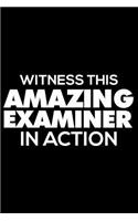 Witness This Amazing Examiner in Action: 6x9 Notebook, Ruled, Funny Writing Notebook, Journal for Work, Daily Diary, Planner, Organizer for Examiners