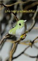 Life really is beautiful: An Affirmation/Prayer/Mantra Journal - A Powerful Law of Attraction Tool