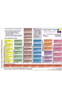 Crazy Colour Card for PRINCE2 Processes
