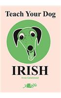 Teach Your Dog Irish