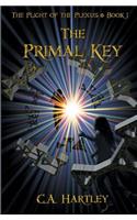 The Primal Key