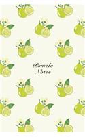 Pomelo Notes: 6"x9" Notebook Watercolor Texture Design Fruit Pattern Cover. 108 Blank Lined Pages Matte Softcover Note Book Journal