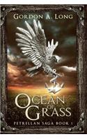 Ocean of Grass