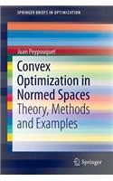 Convex Optimization in Normed Spaces: Theory, Methods and Examples