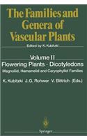 Flowering Plants - Dicotyledons