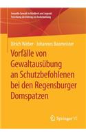 Vorfälle Von Gewaltausübung an Schutzbefohlenen Bei Den Regensburger Domspatzen