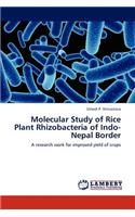 Molecular Study of Rice Plant Rhizobacteria of Indo-Nepal Border