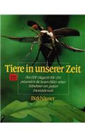 Tiere in Unserer Zeit: Das Beliebte Zdf-Magazin Tele-Zoo Prasentiert Die Besten Bilder Seiner Teilnehmer Am Grossen Fotowettbewerb