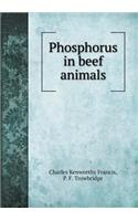 Phosphorus in Beef Animals