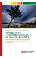Cokrigagem da condutividade hidraúlica no semiárido brasileiro