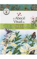 Abece Visual de Plantas y Flores