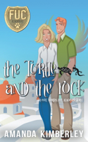 Turtle and the Rock