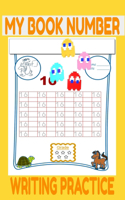 my book number writing practice