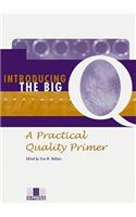 Introducing the Big Q: A Practical Quality Primer