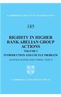 Rigidity in Higher Rank Abelian Group Actions: Volume 1, Introduction and Cocycle Problem