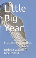 Little Big Year