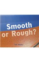 Smooth or Rough?: (Rigby Focus: Emergent)