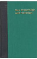 RNA Structure and Function