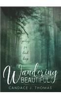 Wandering Beautiful