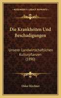 Die Krankheiten Und Beschadigungen