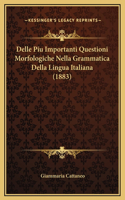 Delle Piu Importanti Questioni Morfologiche Nella Grammatica Della Lingua Italiana (1883)