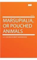 Marsupialia, or Pouched Animals