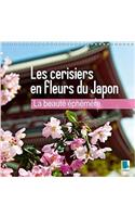 La Beaute Ephemere - Les Cerisiers en Fleurs du Japon 2017: Les Fleurs du Printemps(Calvendo Places)